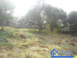Land for Sale at Thalawathugoda